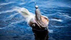 Savage Gear Gobster Shad 11.5cm 16g 5-pack -Abu Garcia Winkel a62f3a52 bf63 4848 8493 b821d6872b89