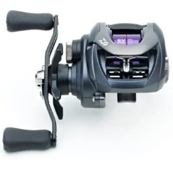 Daiwa Multirulle Prorex PE SV TW 100HS -Abu Garcia Winkel dacac613 7c4d 4871 a24c 9ff9f661158e